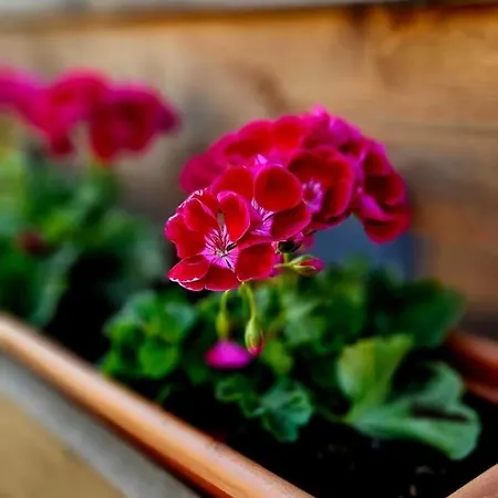 Dom wakacyjny Smołdzińskie Zacisze