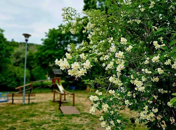 Smoldzinskie Zacisze Сasa de vacaciones Smołdzino