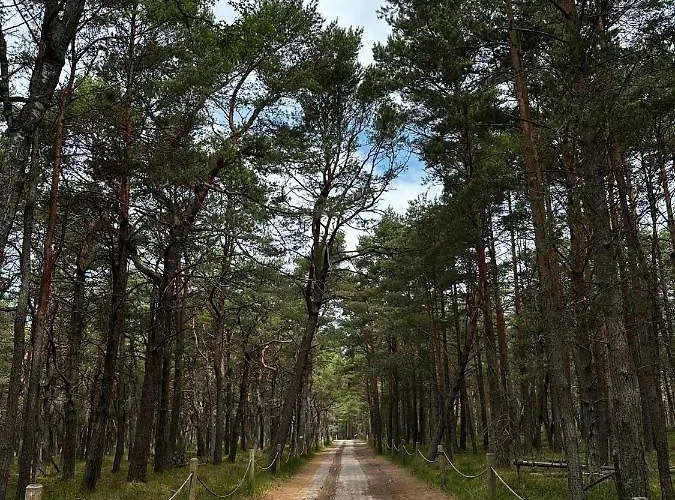 Smoldzinskie Zacisze Сasa de vacaciones *