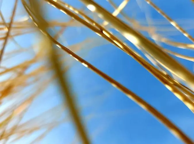 Smołdzińskie Zacisze